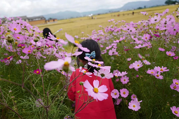 花花.jpg